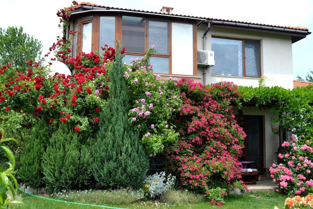 Sea & Garden Villa Varna Exteriör bild