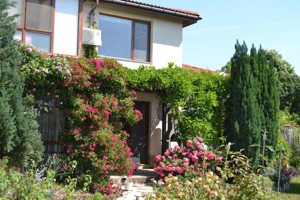 Sea & Garden Villa Varna Exteriör bild