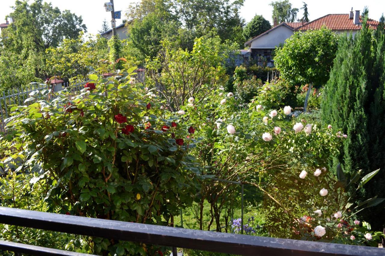 Sea & Garden Villa Varna Exteriör bild