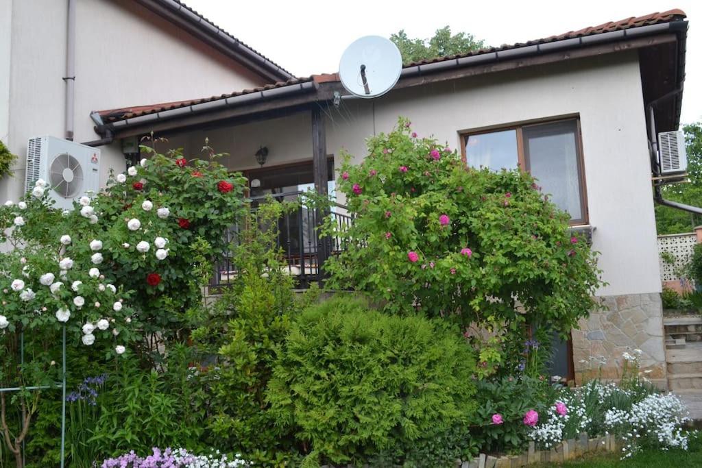 Sea & Garden Villa Varna Exteriör bild